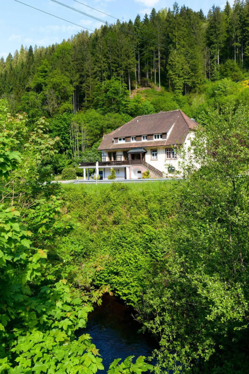 Black Forest Family Apartment-Zum Letzten G'Stehr - Général
