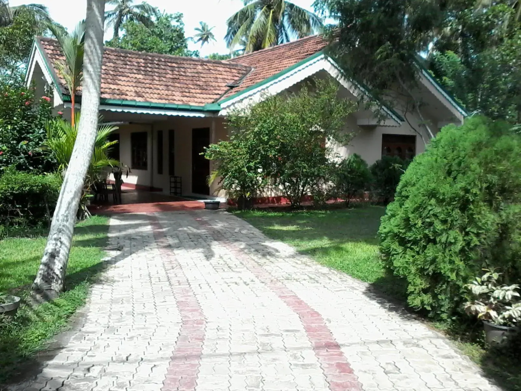image url