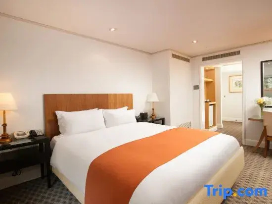 Deluxe Double room (full double bed)