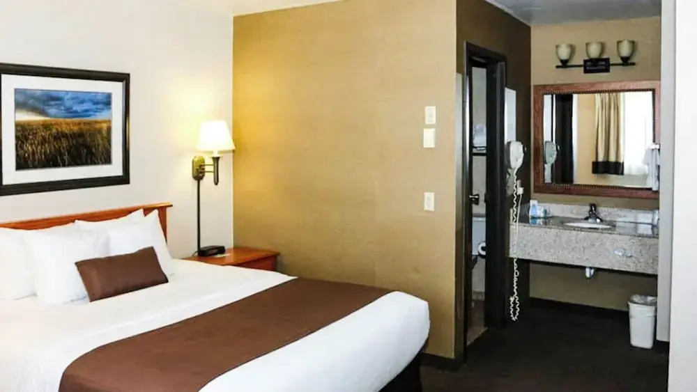 Standard Suite