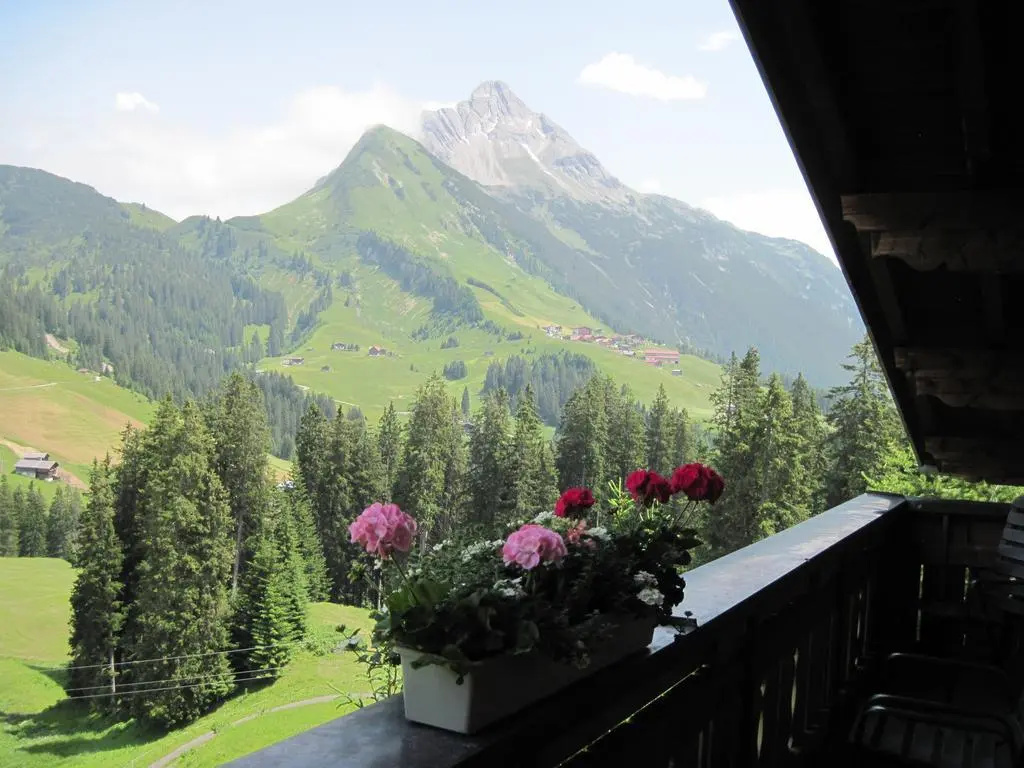 Balcony & Terrace