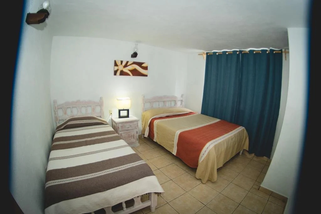 Cabañas Las Lagartijas del Lago - Général