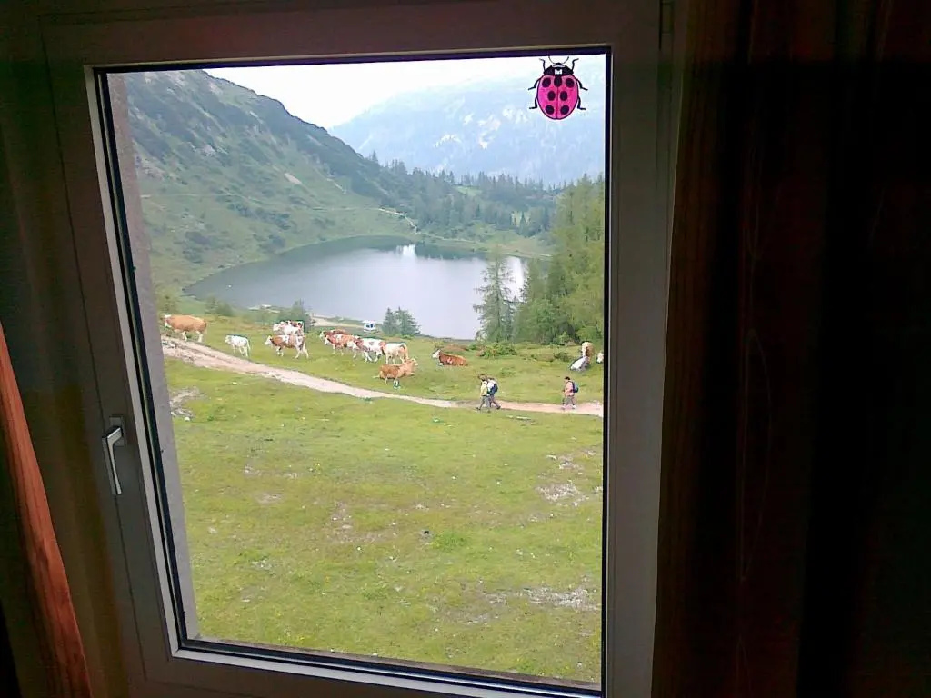 Berghof Tauplitzalm - Chambres
