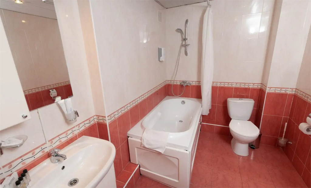 Comfort Double room (twin beds)
