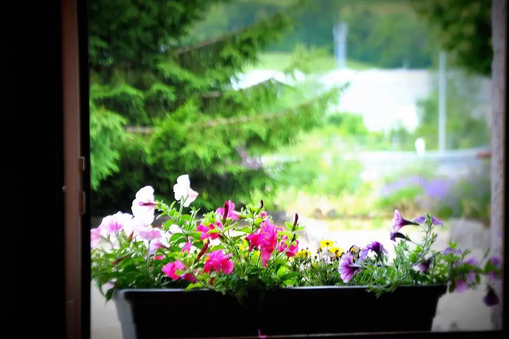 Balcony & Terrace