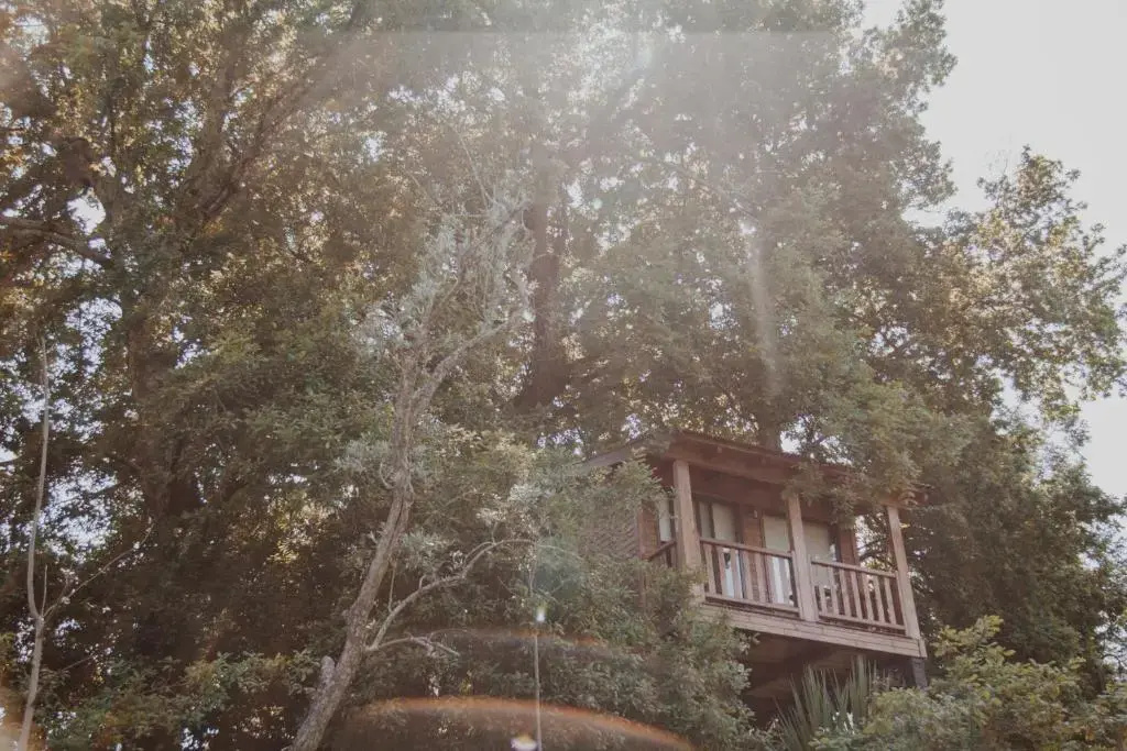 Bungalow