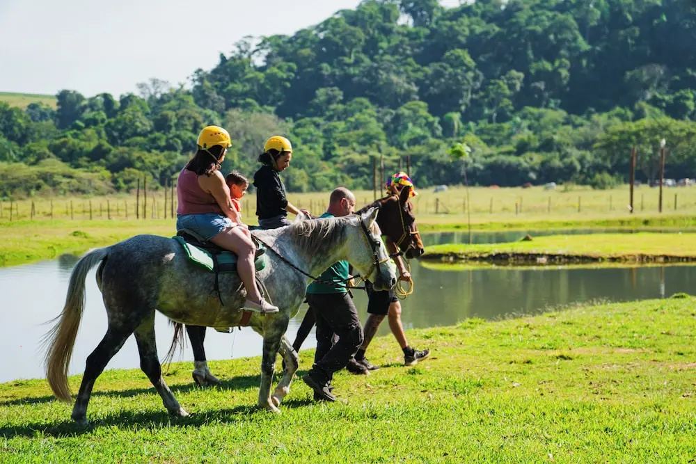 Sitio Castelinho Hotel Fazenda
