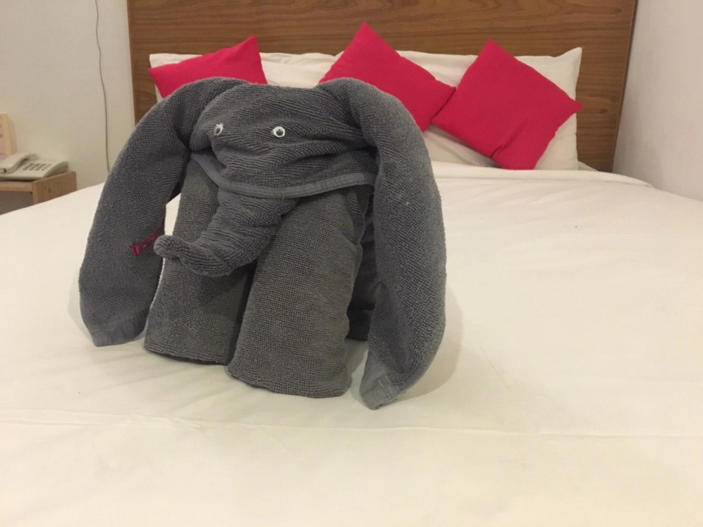 Superior room