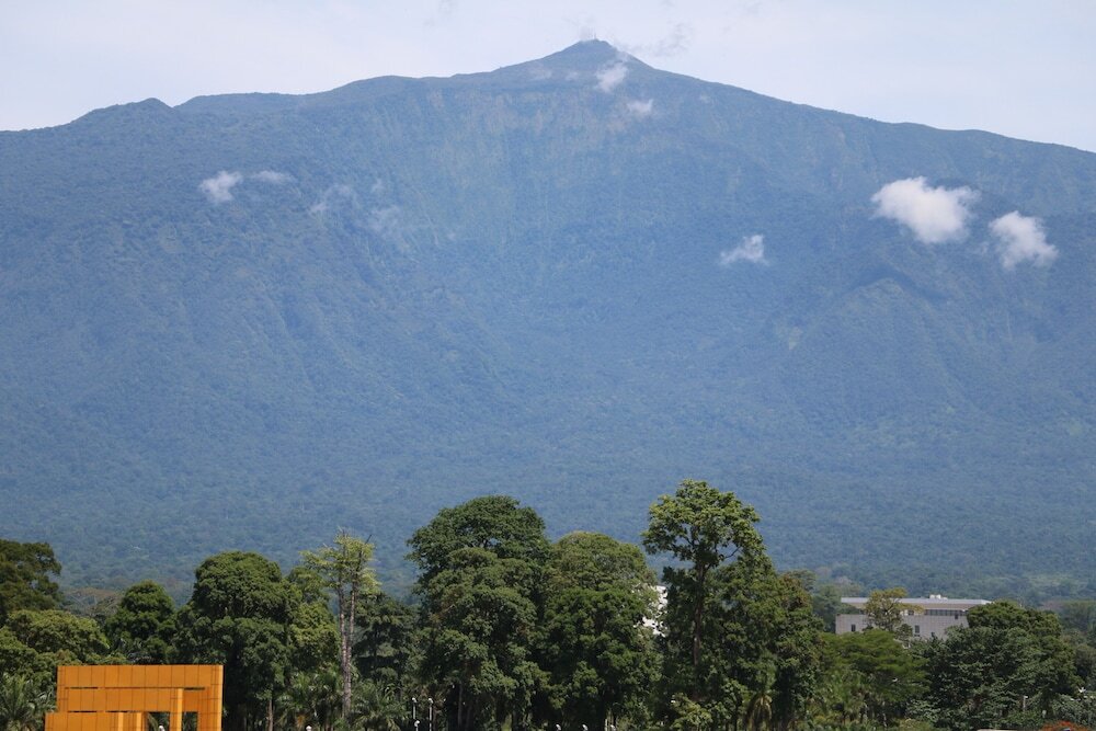 Image 15