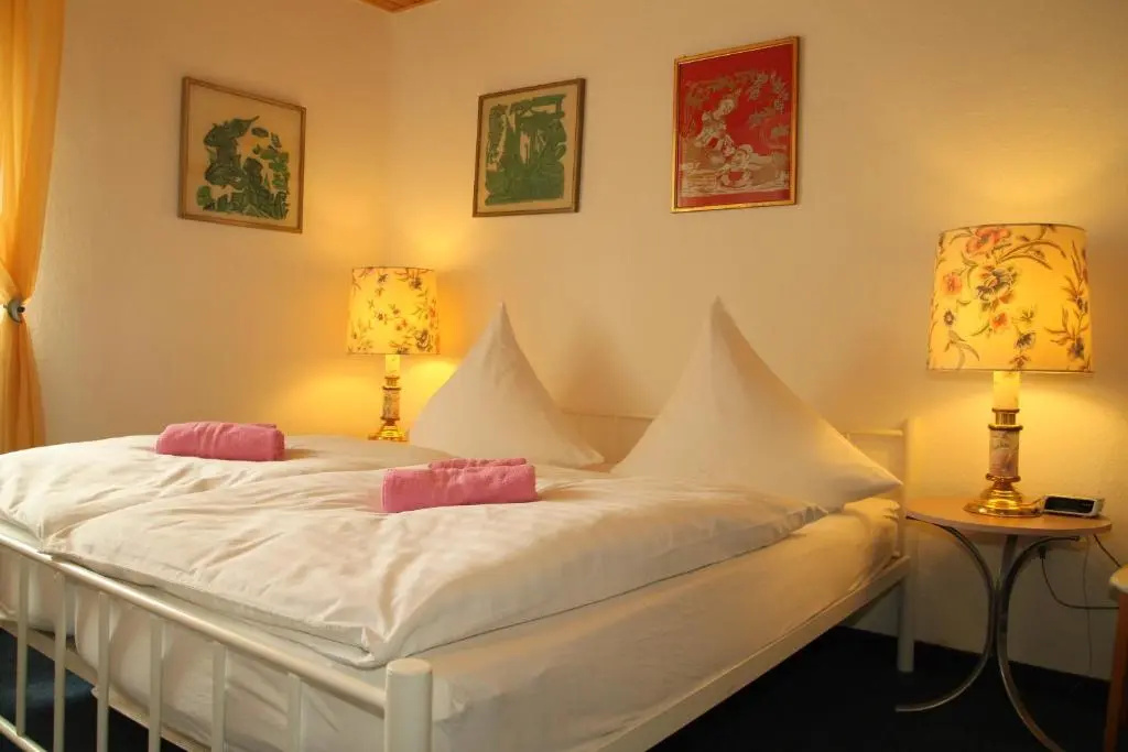 Standard Double room (full double bed)