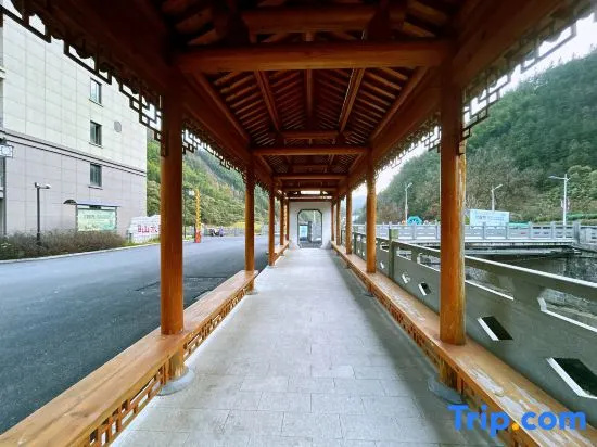 Three Meow Homestay in Huangshan