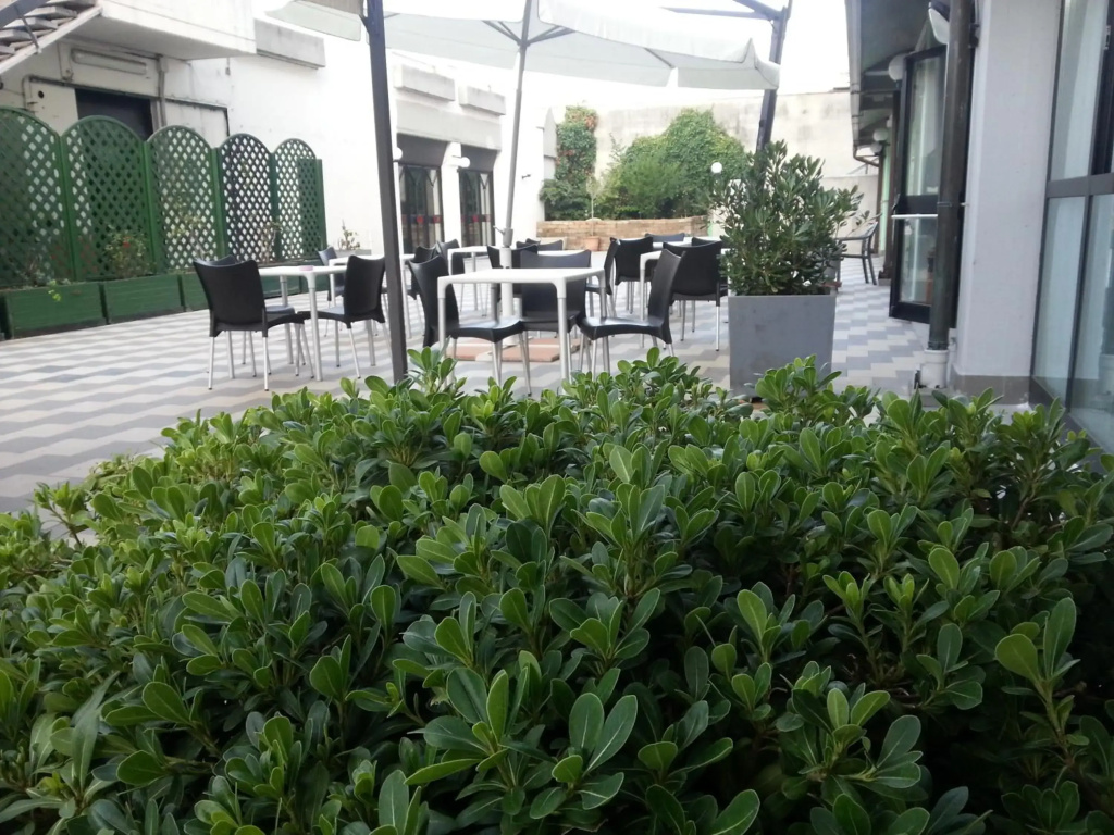 Hotel photo 22