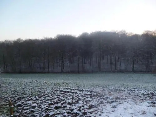 Ferme du bois des Etroits Wats