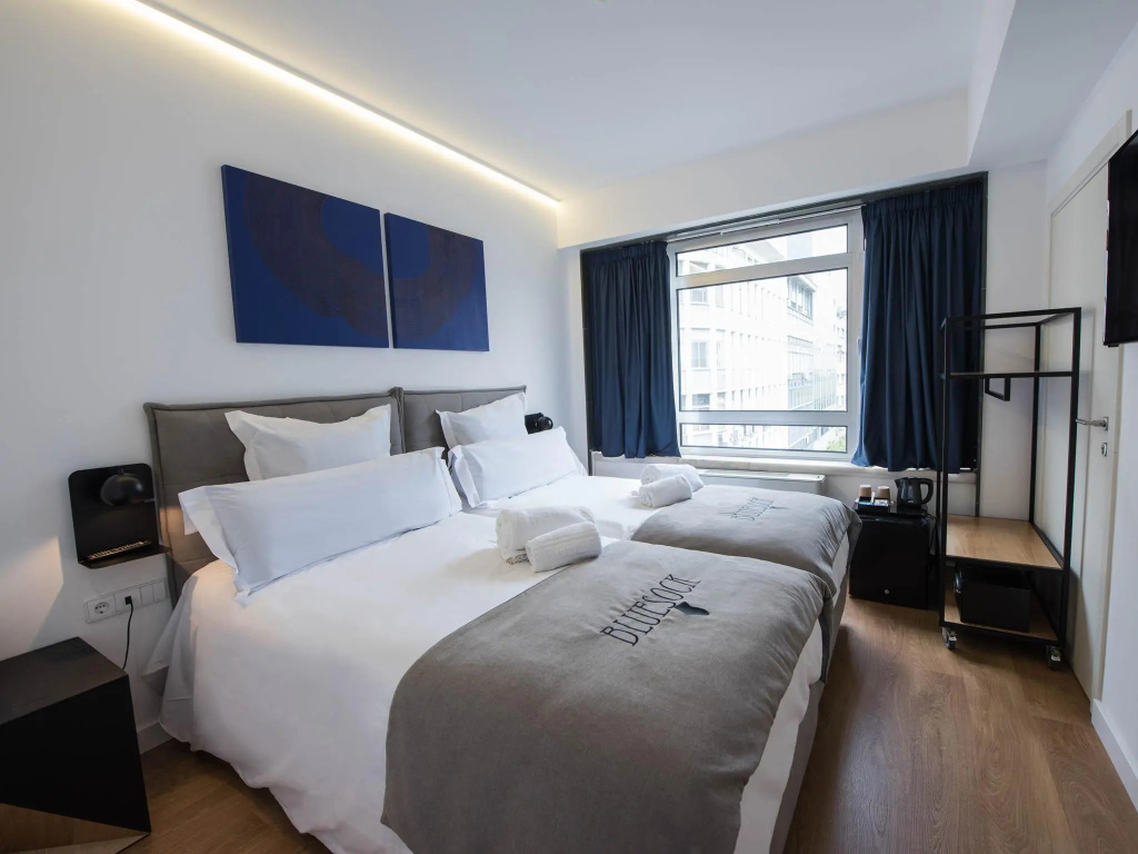Standard Double room (twin beds)