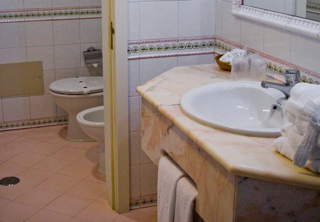 Hotel Dom Fernando - Général