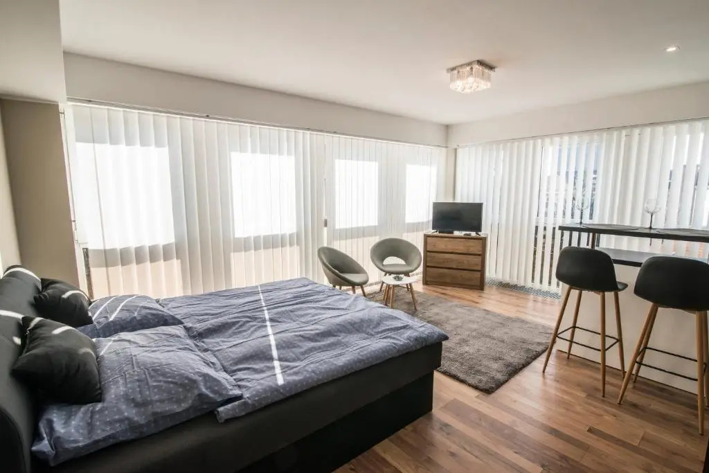1 Bedroom Apartment