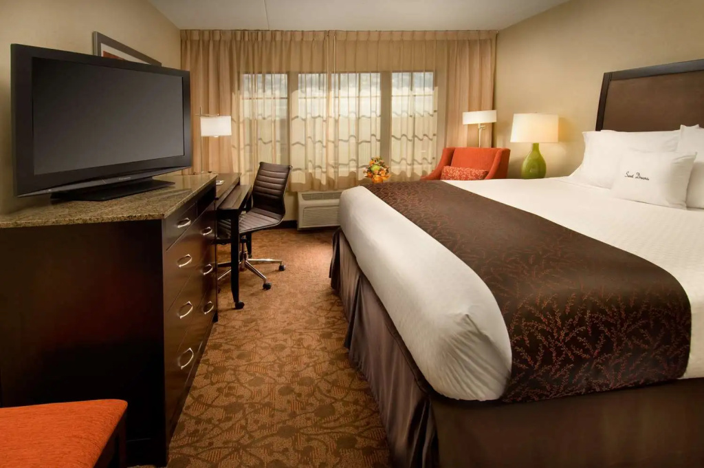 DoubleTree by Hilton Sterling - Dulles Airport - Chambres