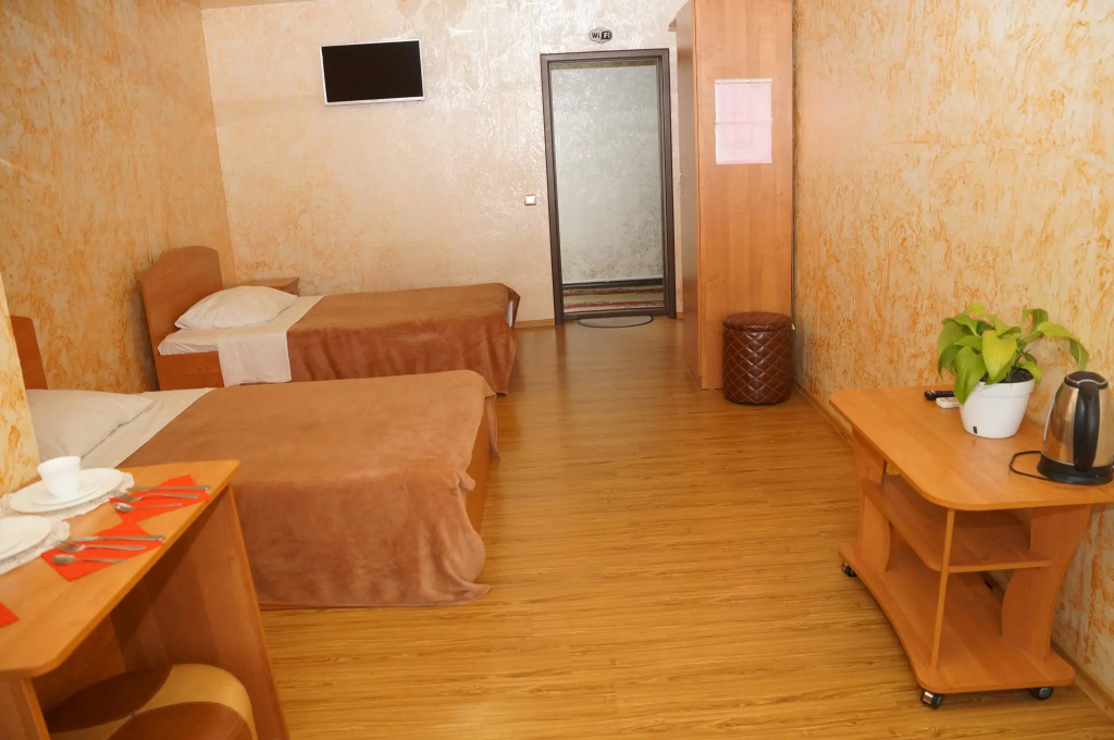 Standard Double room (twin beds)