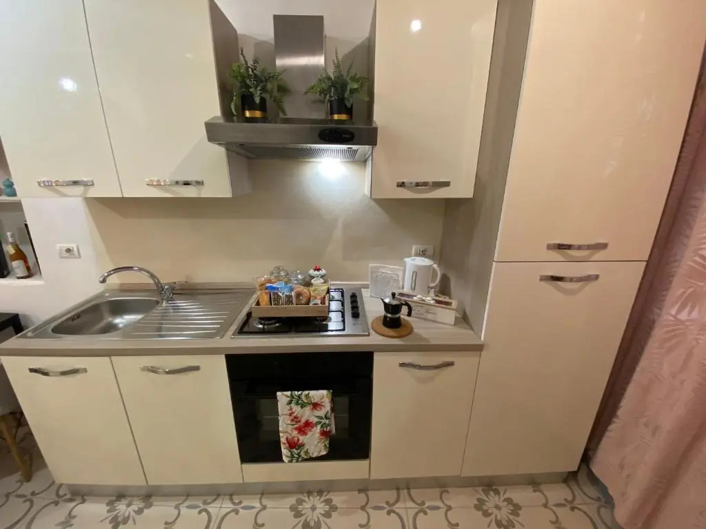 Basement Apartment