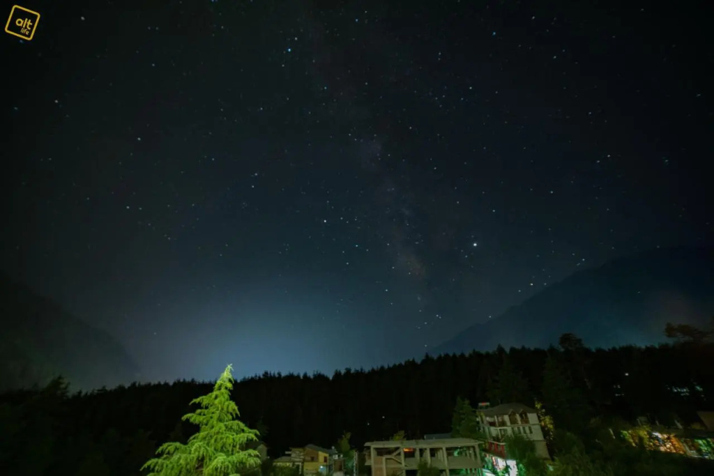 Alt Life Manali