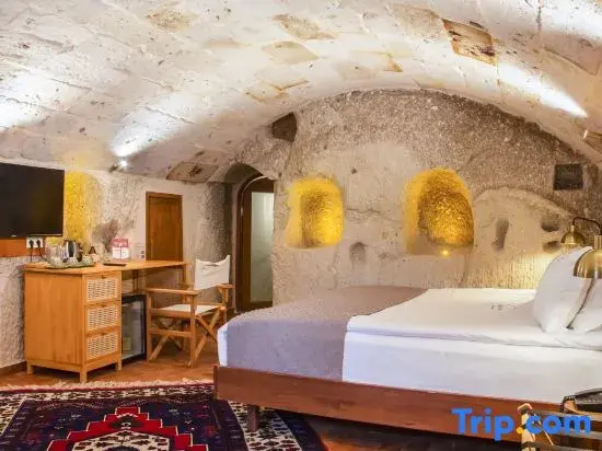 Deluxe Double room (full double bed)