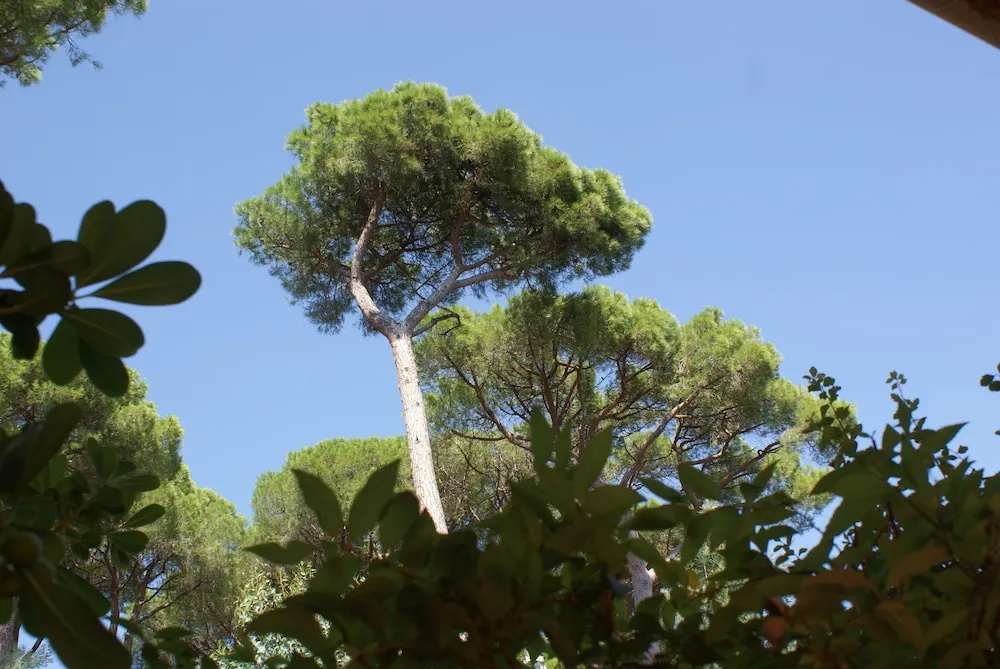 Hotel Les Jardins De Sainte Maxime - Chambres