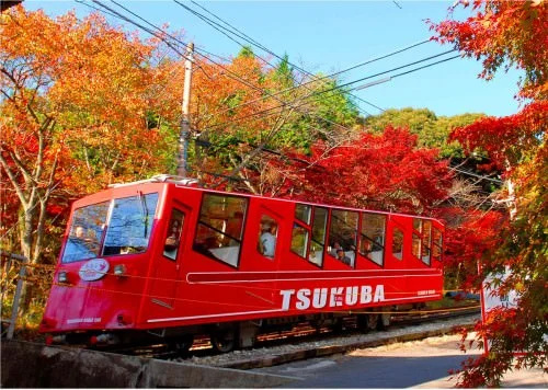 Tsukubasan Onsen Saika no Yado Ichibo