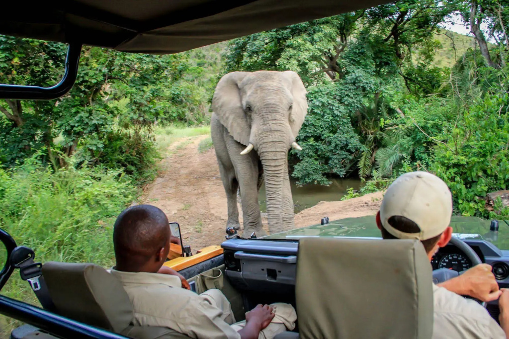 Thula Thula Game Lodge - Général