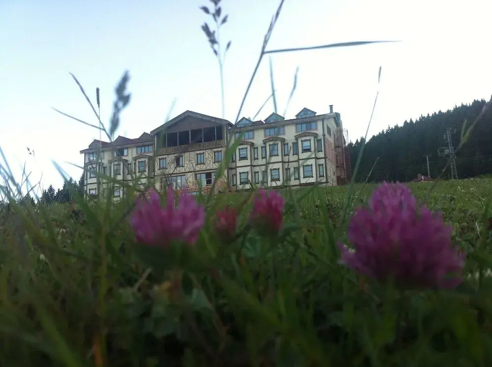 Hotel photo 13