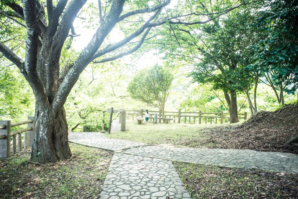 Book & Guesthouse Hitotomaru 사진 13