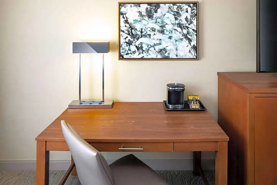 DoubleTree by Hilton Ann Arbor North - Chambres