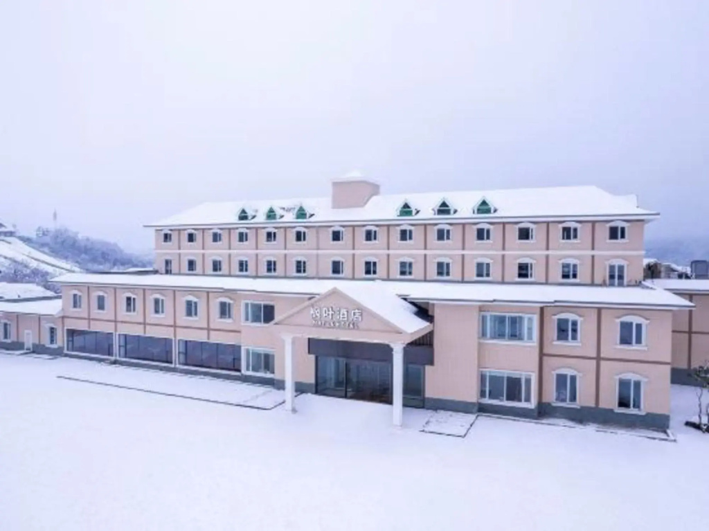 Hotel photo 11