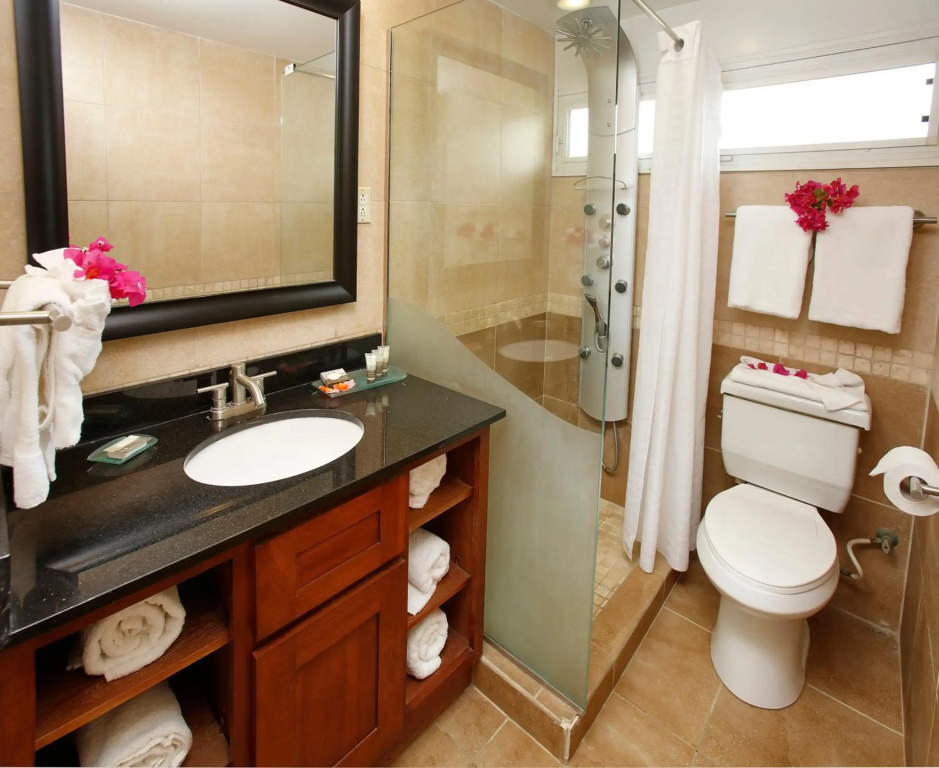 Divi Flamingo Beach Resort & Casino - Général