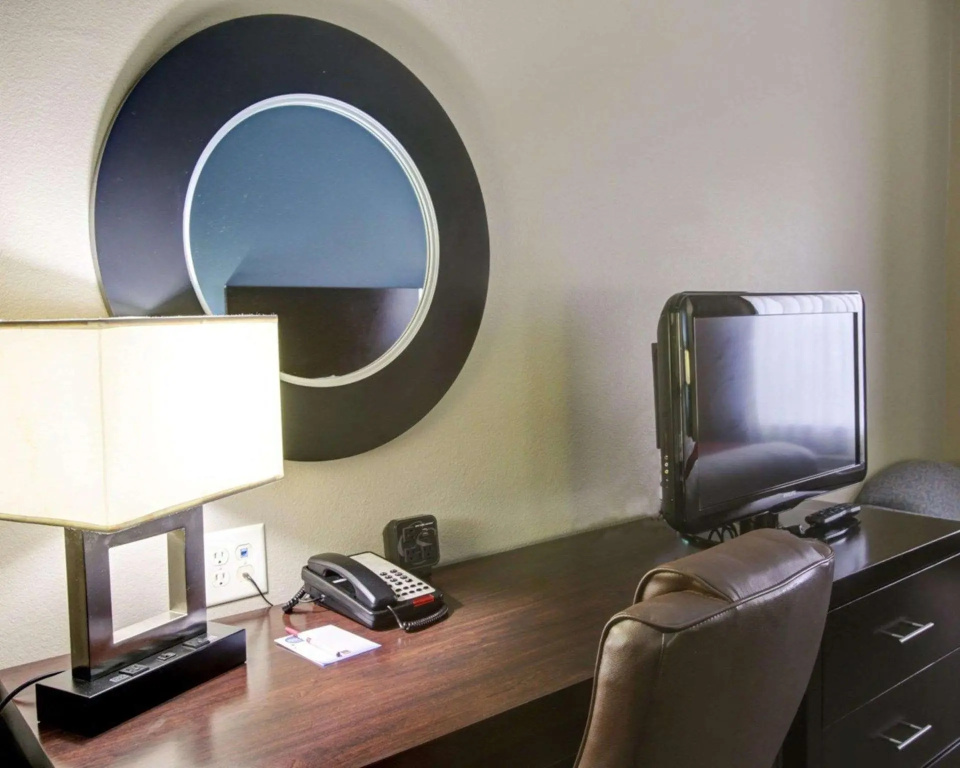 1 Bedroom Suite