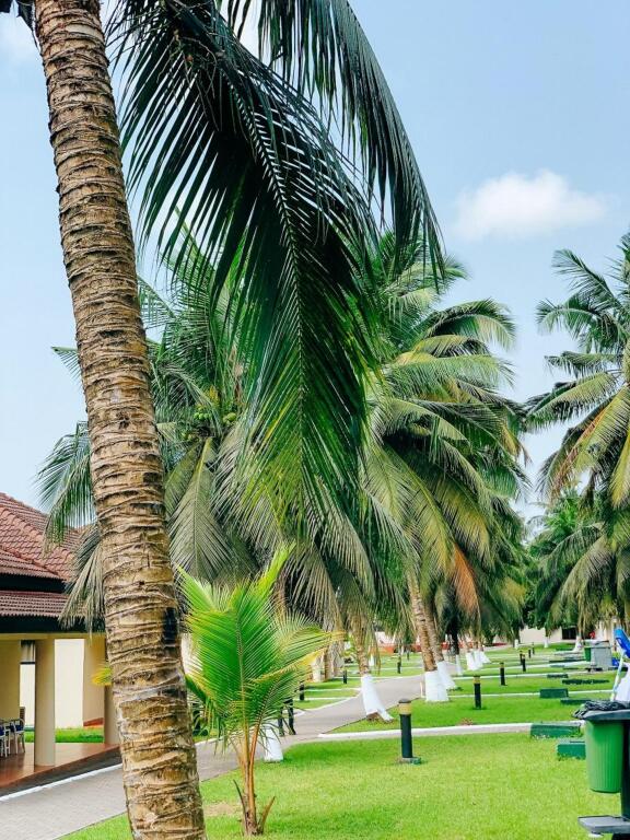 Busua Beach Resort image