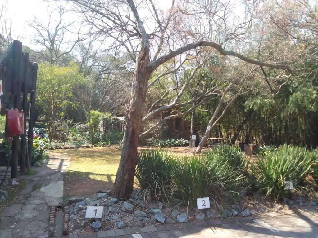 Lapalosa Lodge