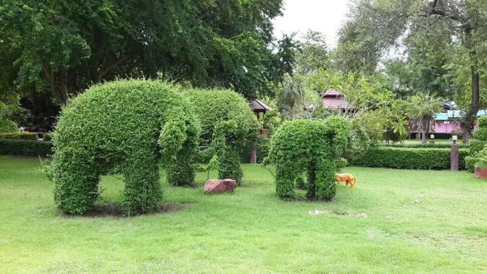 Sasi Resort