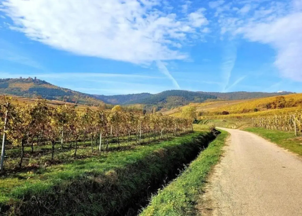 Voir la photo 4 — Gîte S'hisla Im Raabland
