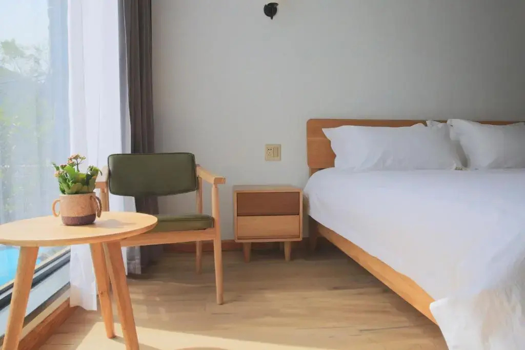 Standard Double room with mountain view (full double bed)