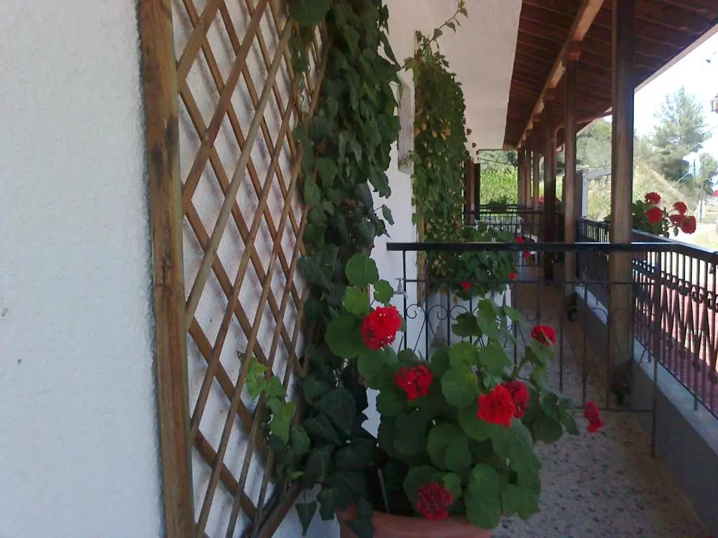 Standard Quadruple room with balcony