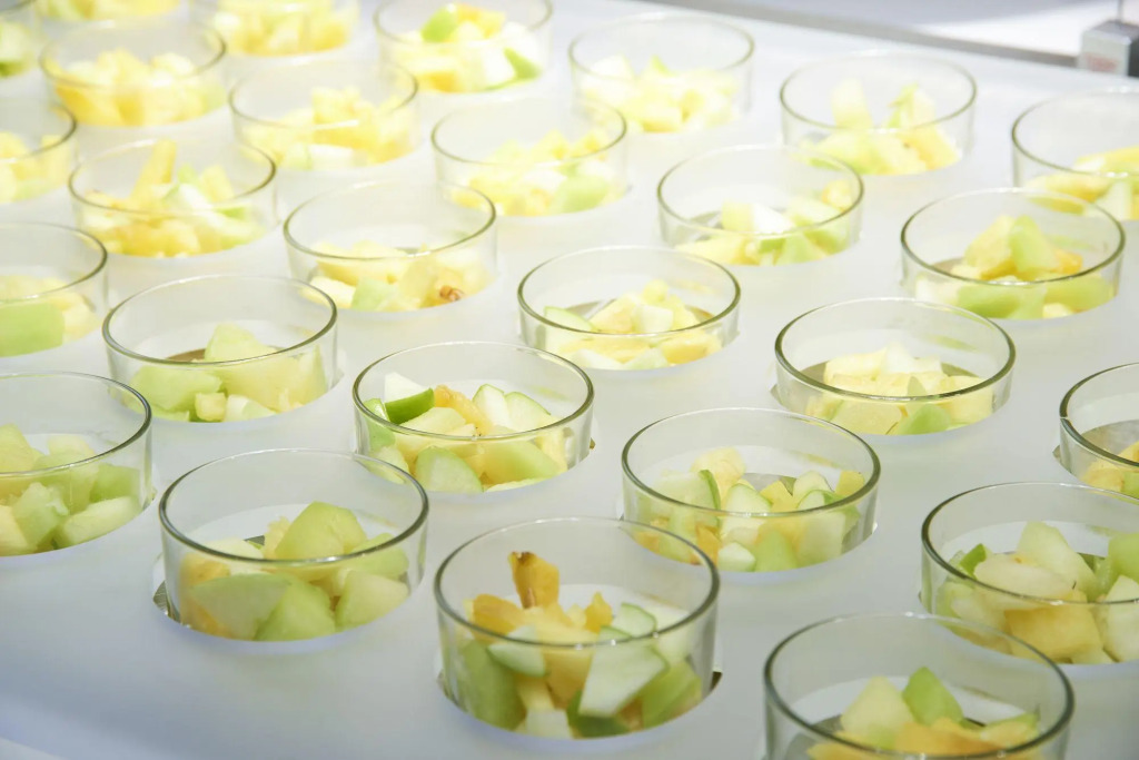 Thon Hotel Brussels City Centre picture