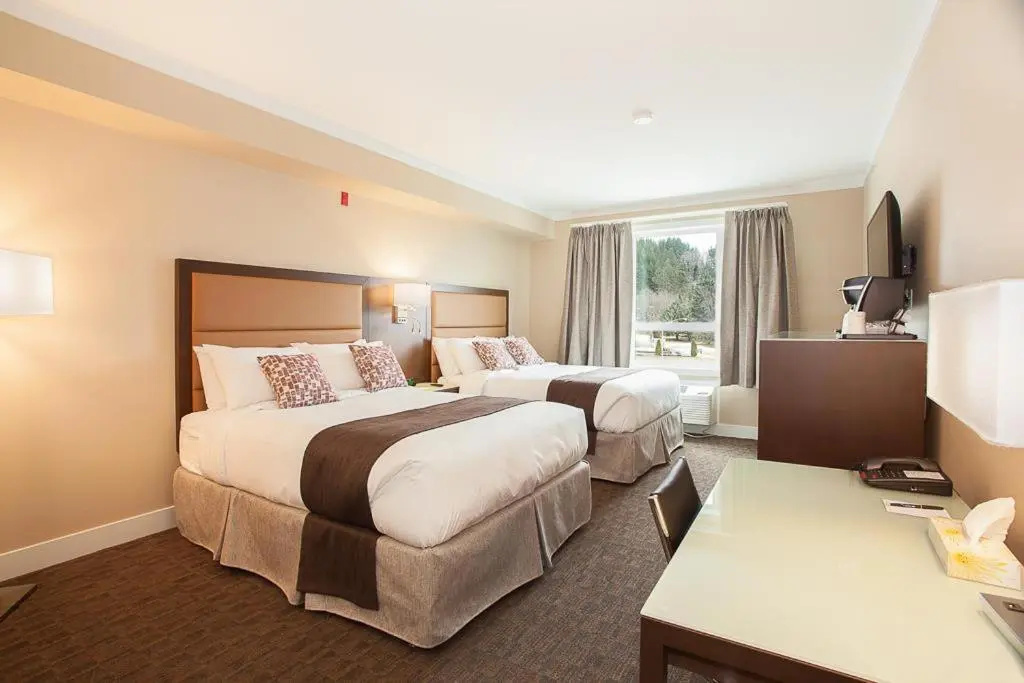 Standard Double room with mountain view (full double bed)
