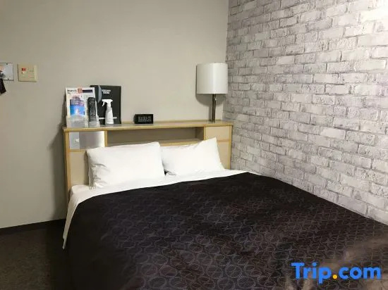 Standard Double room with city view (full double bed)