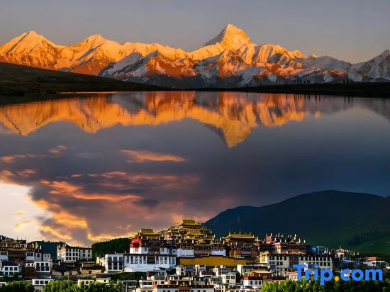 Snowy Region · Little Chieftain Aesthetic Homestay (Shangri-La Dukezong Ancient Town)