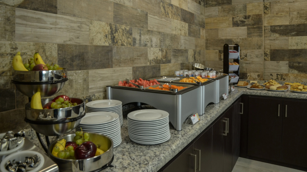 Holiday Inn Express & Suites Celaya by IHG - Général