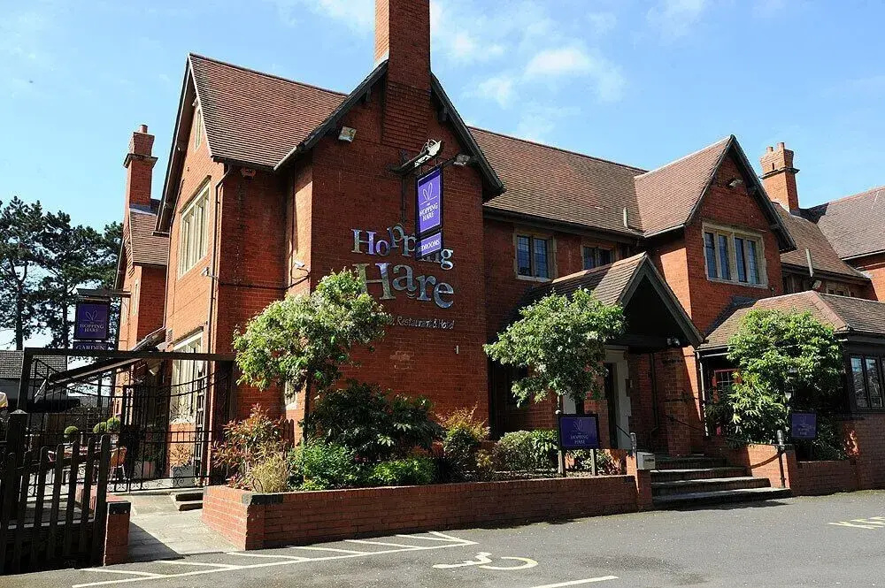 The Hopping Hare