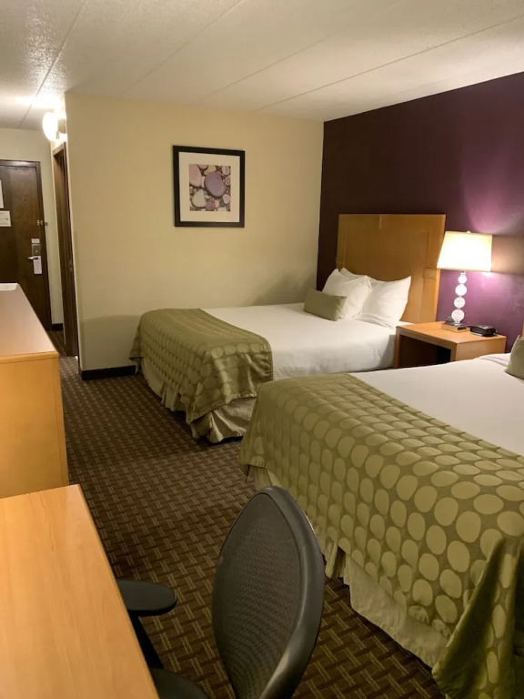 Ramada by Wyndham Marquette - Chambres