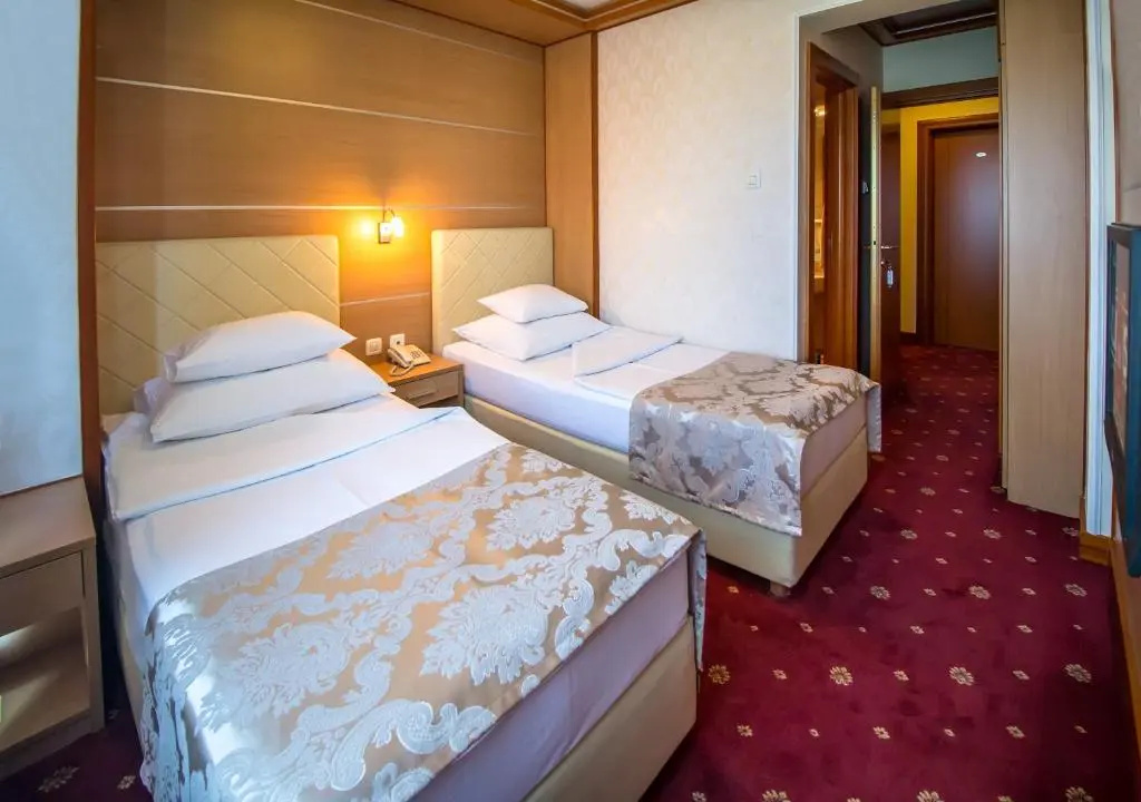 Standard Double room (twin beds)