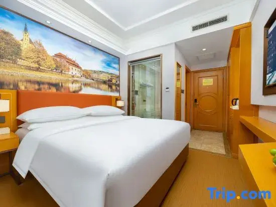 Vienna Hotel - Chambres