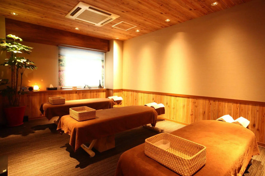 Dormy Inn PREMIUM Sapporo Hot Spring - Général